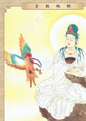 鹦鹉观音图片