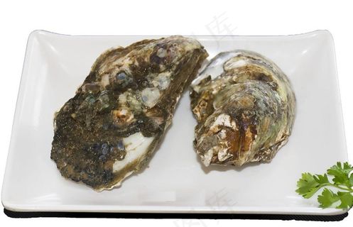 鲜生蚝图片