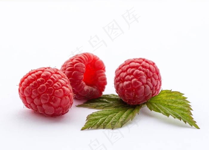 覆盆子图片