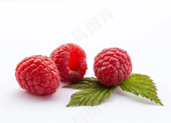 覆盆子图片