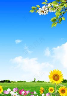蓝天白云草地图片