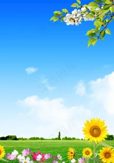 蓝天白云草地图片