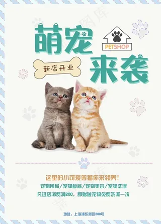 宠物店海报图片