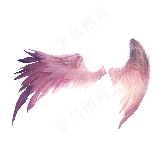 翅膀图片