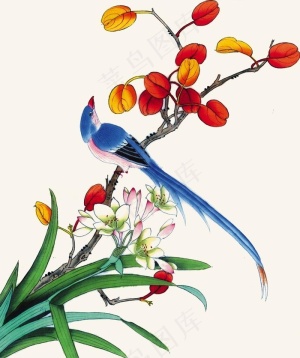 国画花鸟图图片