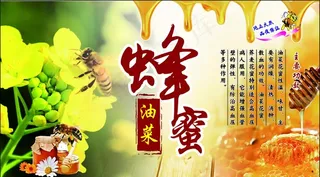 油菜蜂蜜不干胶图片