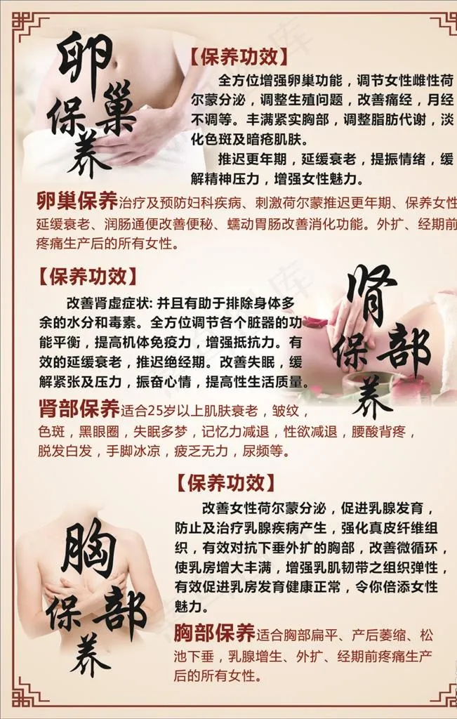 美容养生海报图片cdr矢量模版下载