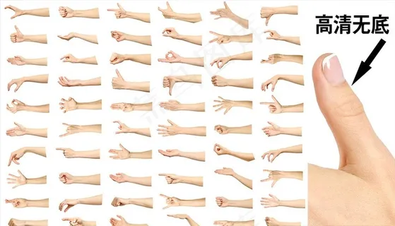 手势图片 手势图片