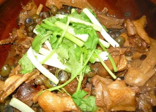 石螺焖青头鸭图片