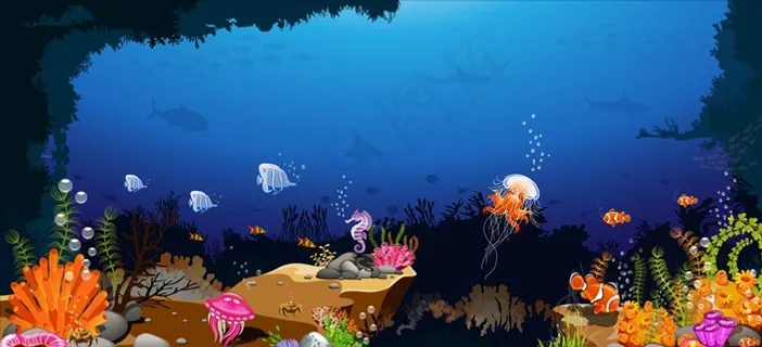 海底图片 海底图片