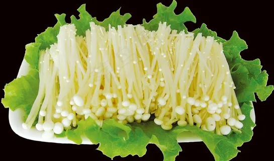 金针菇图片 金针菇图片