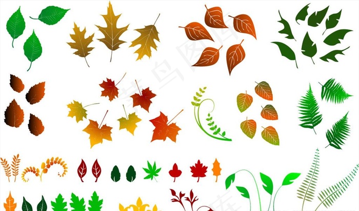 矢量树叶元素图片