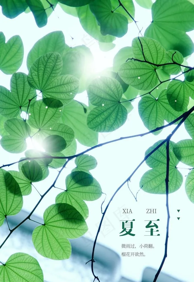夏至图片(3543X5315(DPI:150))psd模版下载