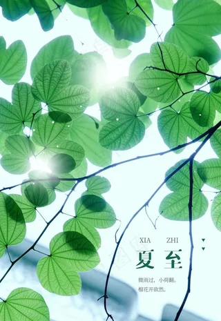 夏至图片