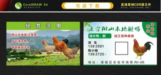 清远鸡名片 阳山鸡名片 养植名图片