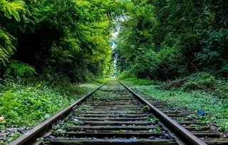 森林深处的火车轨道图片
