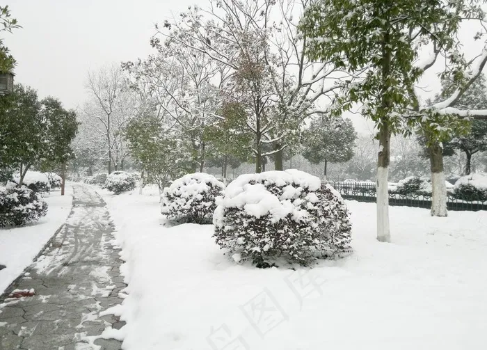 雪景图片