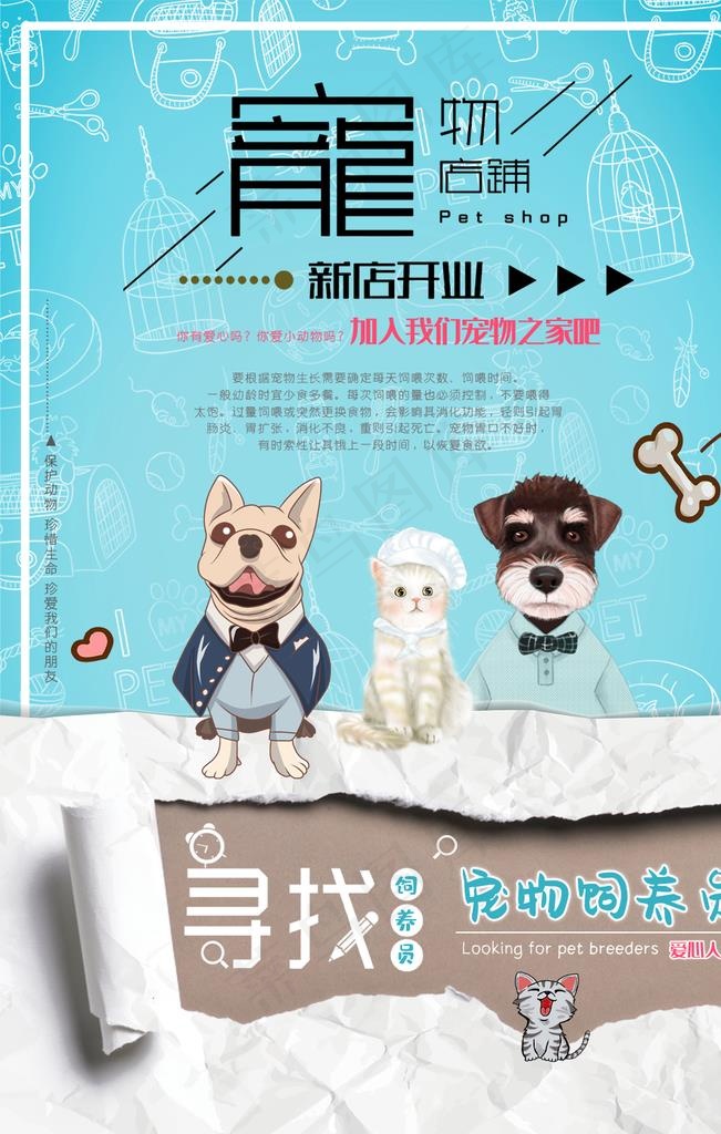 宠物店海报图片psd模版下载