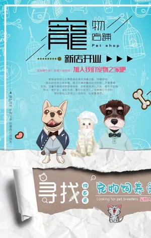 宠物店海报图片