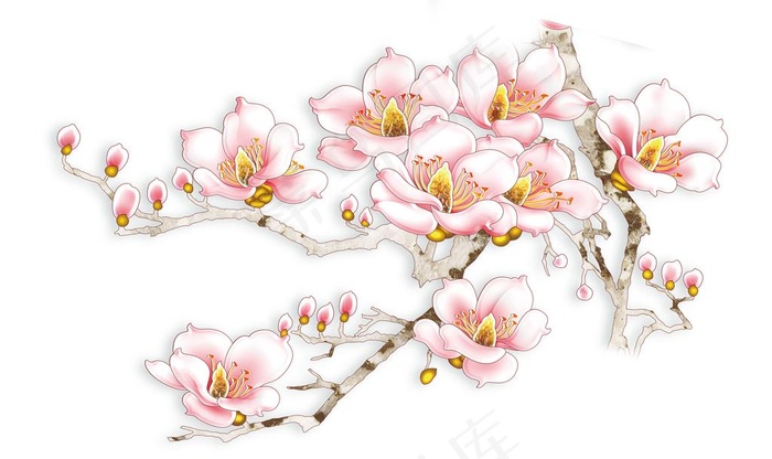 花图片(9071X5669(DPI:72))psd模版下载