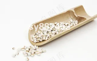 薏米图片