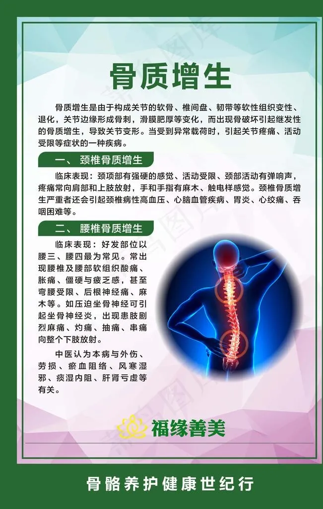 骨质增生图片(7086X10629(DPI:300))psd模版下载