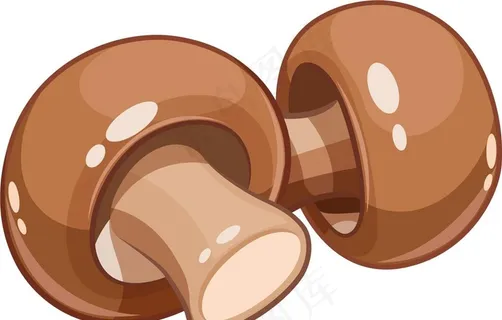 矢量手绘香菇图片