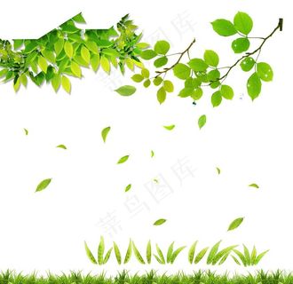 清新绿叶背景时尚海报模板绿草地图片