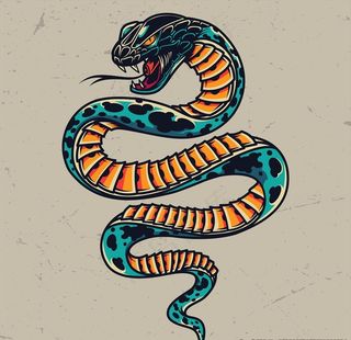 蛇图案图片