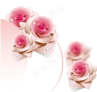 玫瑰花图片 玫瑰花图片