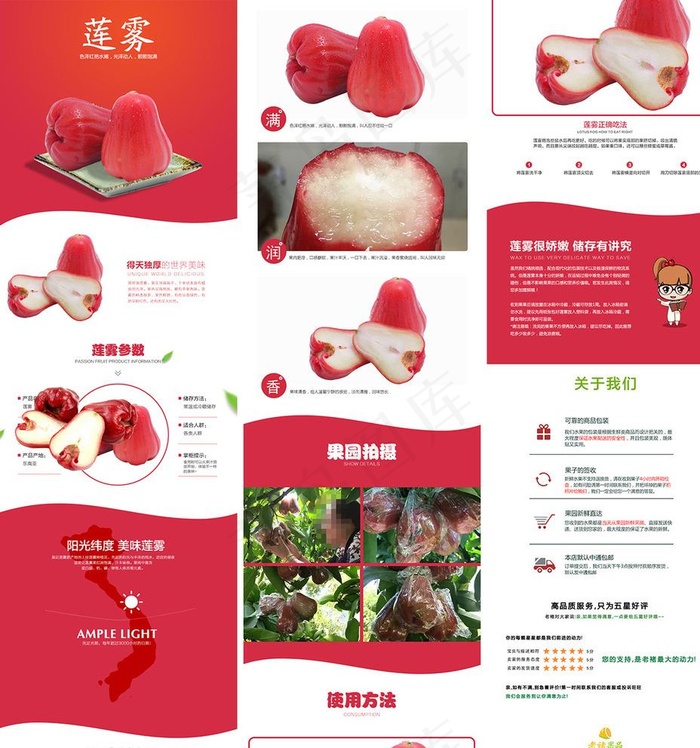 淘宝天猫水果莲雾详情页模板图片(790X7655(DPI:72))psd模版下载