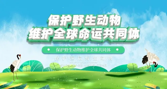 保护野生动物图片(8000X4500(DPI:300))psd模版下载