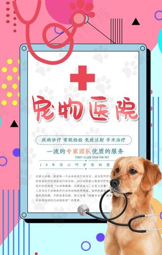 宠物医院图片