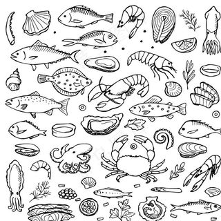 手绘海鲜图片