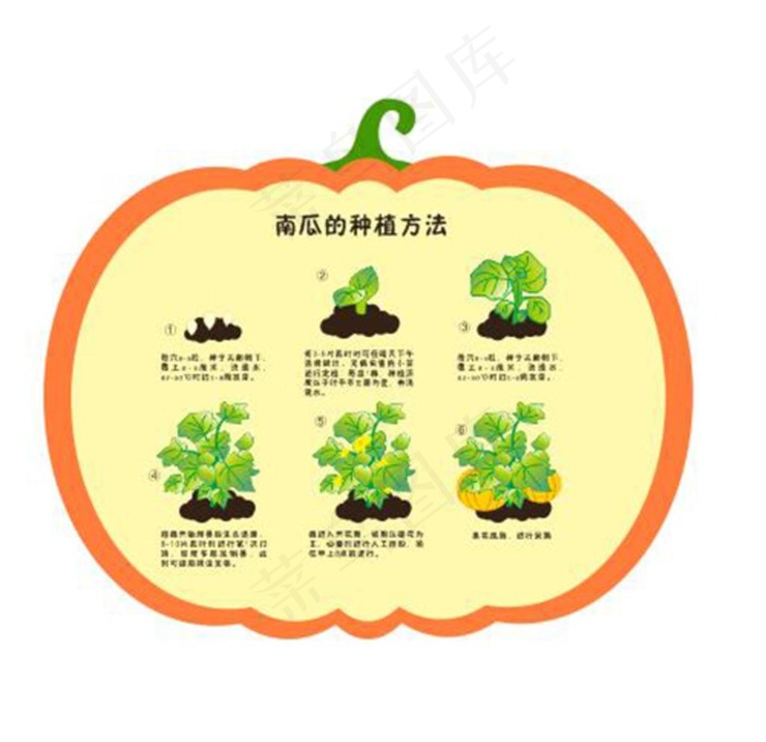 南瓜种植过程图片cdr矢量模版下载