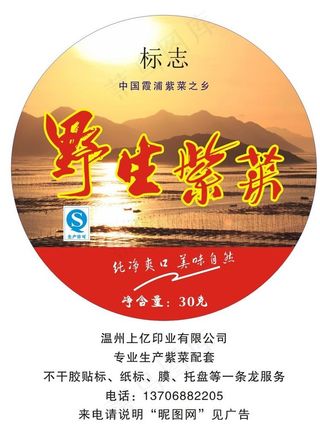 深海紫菜 野生紫菜 霞浦图片