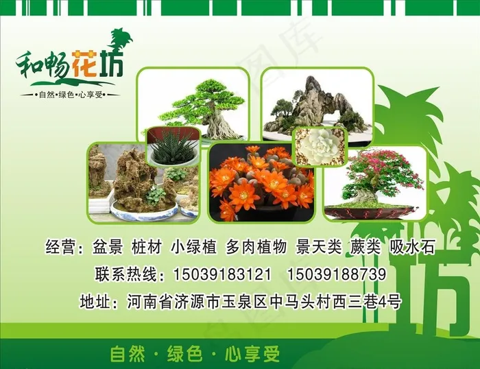盆景盆栽图片cdr矢量模版下载