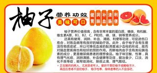 柚子营养介绍图片