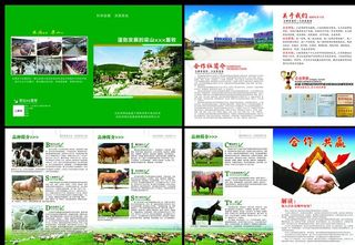 畜牧画册 水泊梁山画册图片