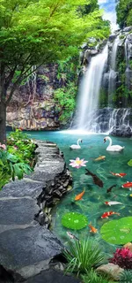 清新简约绿色瀑布荷花九鱼图图片