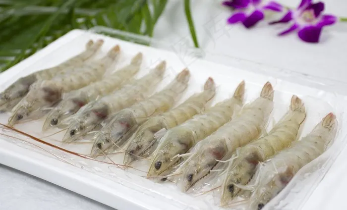 南美对虾图片