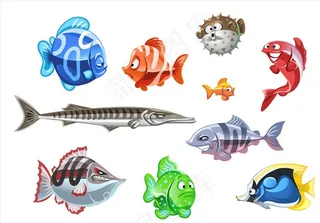 鱼集合图片