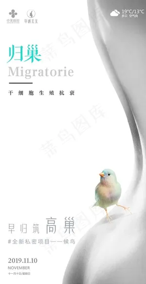 医美项目宣传海报图片