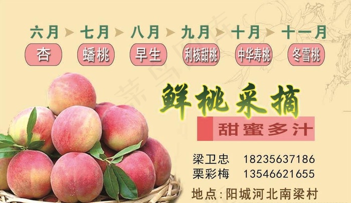 桃子名片图片psd模版下载