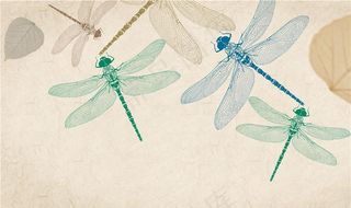 美式风格手绘复古蜻蜓电视背景墙图片