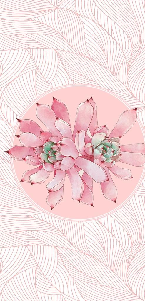 多肉彩绘手机壳图案图片