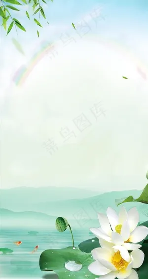 荷花背景图片