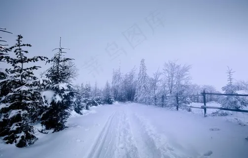 雪天图片