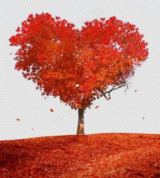 多彩爱心树图片
