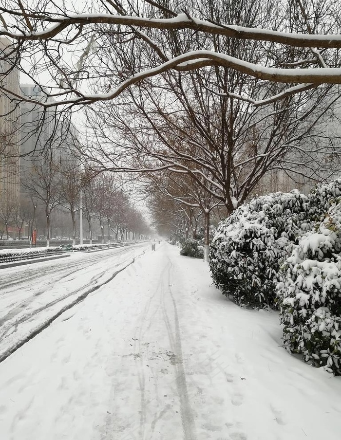 雪景图片